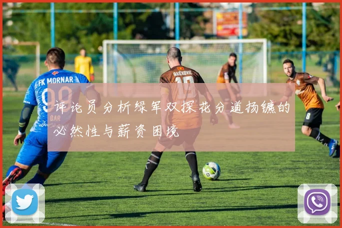 评论员分析绿军双探花分道扬镳的必然性与薪资困境