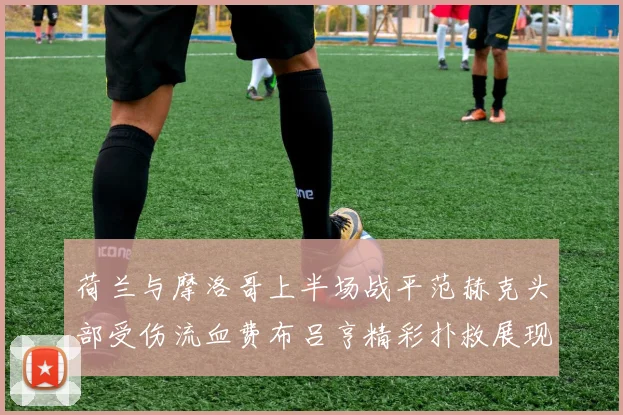 荷兰与摩洛哥上半场战平范赫克头部受伤流血费布吕亨精彩扑救展现实力